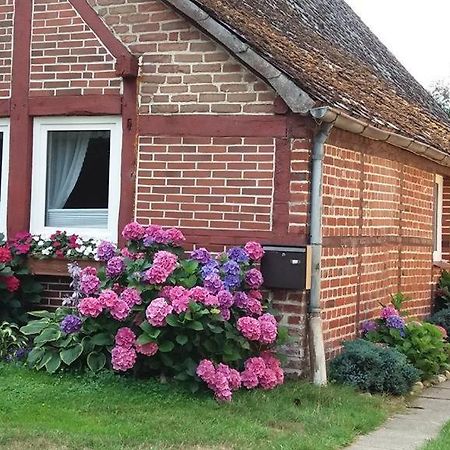 Von Wiegen, Ferienwohnungen Schneverdingen Exterior foto